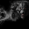 Dark Wolf.jpg