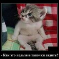 af6c52d6-4b5d-41b0-8db4-da34bd7b26e0.jpg