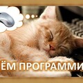 d892db54-7dbd-48fc-9830-0a59f9afbddf.jpg