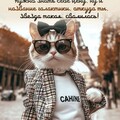 c682dc39d3da98e2f87ef66e03395ded.jpg