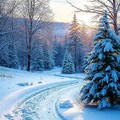 cc50ac01f27a8c7ec0ad74a2271d1573.jpg