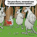 fe936448fedf9221b6aea08e75bb54bc.jpg