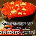 IMG-20230812-WA0053.jpg