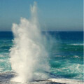 resize(1).gif