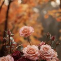 0e199bf12a771ca7f87f20fb3c4a8e12.jpg