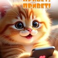 Привет.jpg