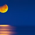 nature-1661775420775-9383.jpg
