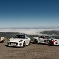 54435-jaguar kabriolet asfalt.jpg