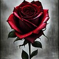89f3206b4f89c50deb88bc37088a927f.jpg