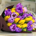 4152254f56a8fc8107d4d95871b50458.jpg