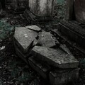 e82c2e5e-8fa5-472e-a926-c618410c9ea4.jpg