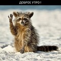 Доброе Утро.jpg