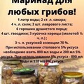 c0caa31e30a15f9c1a2f0e3cb65996de.jpg