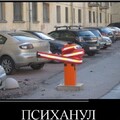 3560b386-cf90-4931-b2cf-92affdcddabb.jpg