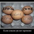 84e59674-274e-4870-bb50-1178e157961d.jpg