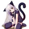 0.gif