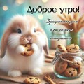 43c14ffcea2215896030af8cbaaf01b5.jpg