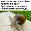 446c599c998b45758f2a6f2fbe9f6951.jpg