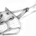 AgEvp-SqCiw.jpg