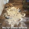 23c5b89b0cd99346faef90ede6325457.jpg