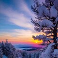 9269d21697c43e467ef6d321c9738d23.jpg