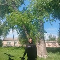 IMG 20250515 151737.jpg