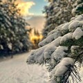 6374b71df882b405761a8e1daec419e5.jpg