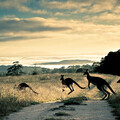 HQ Wallpapers for a desktop (Part 487)-106.jpg
