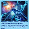 День ДНК.jpg
