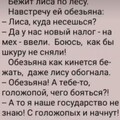 IMG-20230928-WA0000.jpg