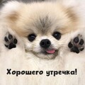 Хорошего Утречка.jpg