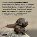 1d174bd849f196bc68de0f0e5583ffe9.jpg