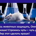 Всемирный День Животных.jpg