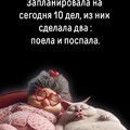 8d0862da-0461-40dc-98e8-af24d6a0b49c.jpg