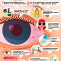 2f979927e943f5d9aab722de977b74b7.jpg