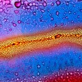 64577-abstrakciya mikroby gradient.jpg