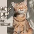 Доброе Утро.jpg