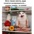 00414d5266ece7f1518de9d0fcba8544.jpg