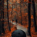 e1ef3ce27b62c380acd50a68db0cb727.jpg