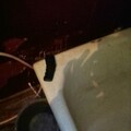 IMG 20220412 175755.jpg
