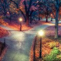 64313-osen park derevya listva fonari.jpg