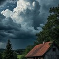 2ca7e2506ef0769b6427cde0badf50d7.jpg