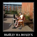Дм.jpg