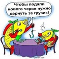 5dc71e9771c1c4de0f09a955a66b0d3d.jpg