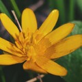 IMG 20230405 082919 446.jpg