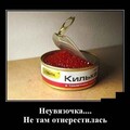 51602012-9cf3-48fc-a7e9-3a48b69ef8f1.jpg