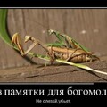440dfcca-6273-4e5c-bca0-73cef563ad70.jpg