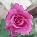 IMG-20240721-WA0022.jpg