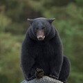 7b8a61e892f686055198374e0845ab14.jpg