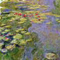 Water Lilies 1919 02.jpg